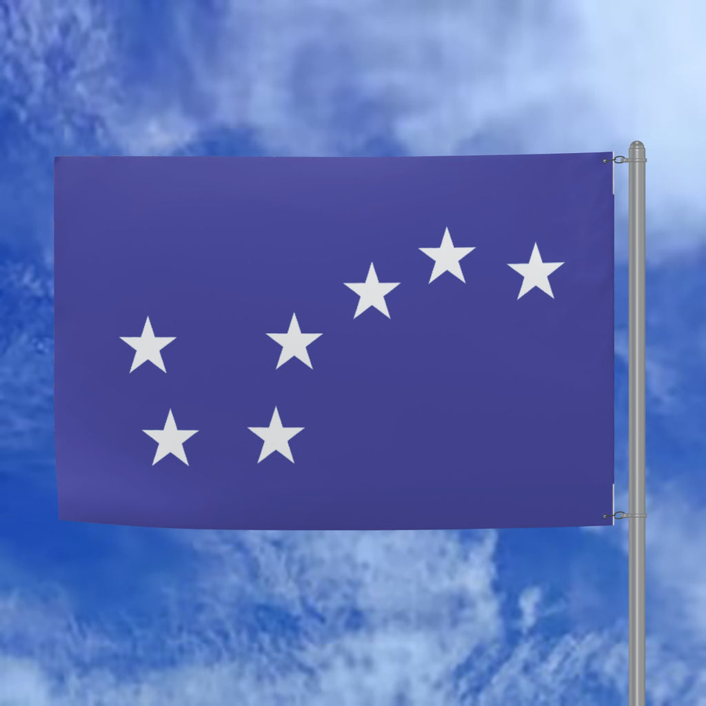 Double Sided Flag Side 1: Tricolour Side 2: Blue Starry Plough