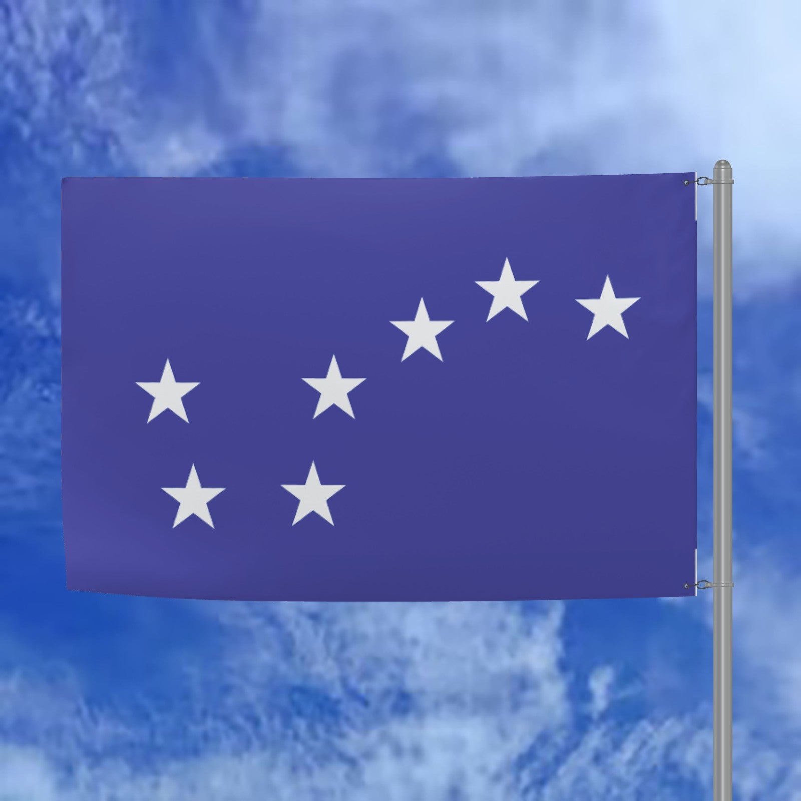 Double Sided Flag Side 1: Tricolour Side 2: Blue Starry Plough