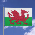 Welsh National Flag - 6ft x 4ft Double-Sided Premium Quality with Red Dragon Celebrate Welsh pride with this stunning 6ft x 4ft (72 inches x 48 inches) Welsh national flag, featuring the iconic red dr