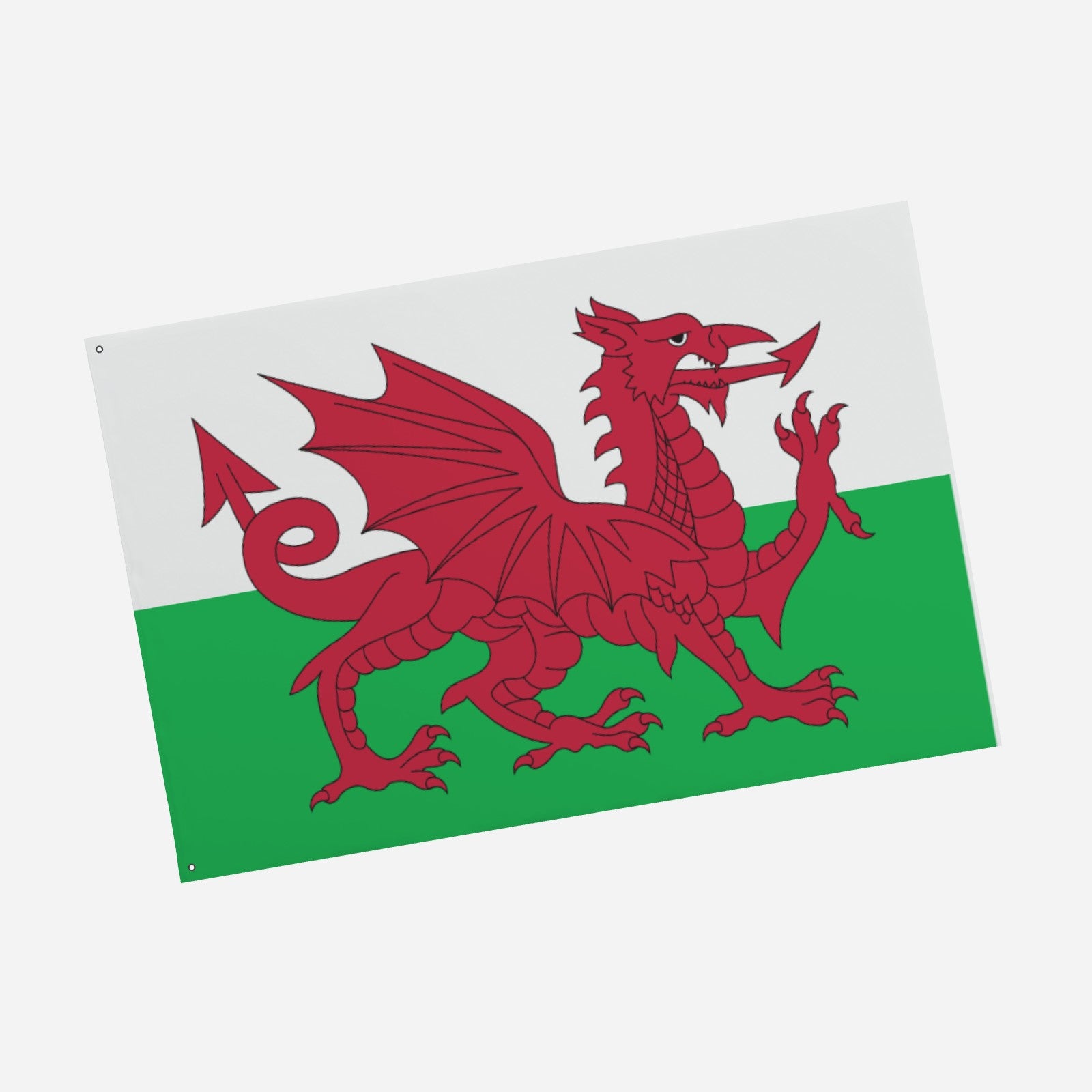 Welsh National Flag - 6ft x 4ft Double-Sided Premium Quality with Red Dragon Celebrate Welsh pride with this stunning 6ft x 4ft (72 inches x 48 inches) Welsh national flag, featuring the iconic red dr