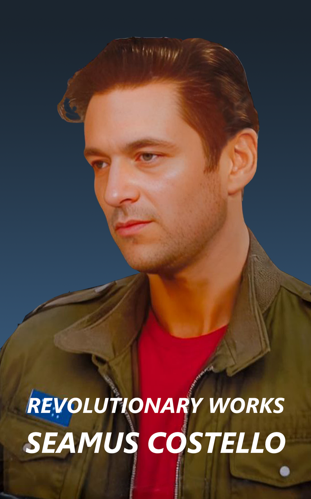 Revolutionary Works of Seamus Costello