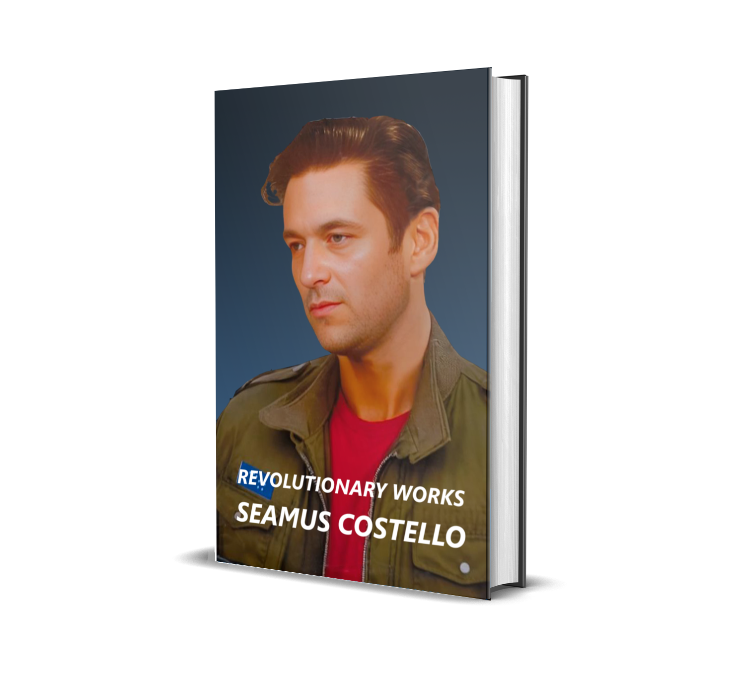 Revolutionary Works of Seamus Costello